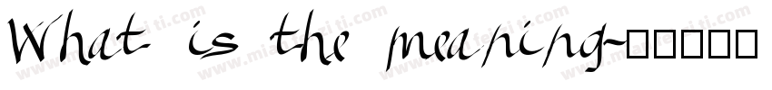What is the meaning字体转换
